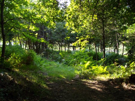 L'&eacute;tang de Nadine et Georges MACARY&nbsp; pour concours de p&ecirc;che &agrave; Conc&egrave;ze. Etang priv&eacute; de 1 ha pour la p&ecirc;che situ&eacute; a moins d'un km du g&icirc;te de Leycuras